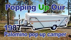 popping up our 1987 palomino pop up
