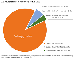 Food Security in US Households Report 2018 | Census COVID-19 Data Hub