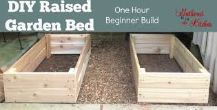 Diy Raised Garden Bed Beginner Level