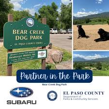 bear creek dog park el paso county