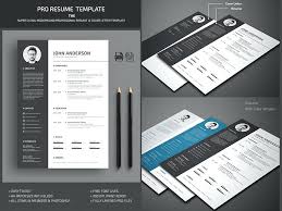 Professional Resume Templates Word Professional Word Resume Template
