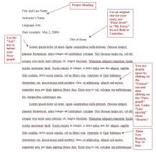 Mla Format Citation In Essay Ohye Mcpgroup Co