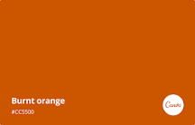 what-colors-go-with-burnt-orange