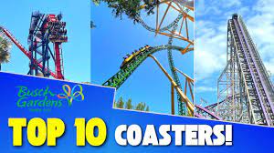 busch gardens ta roller coasters