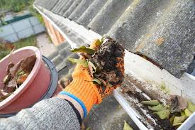Gutter Cleaning In Central Ohio Get A