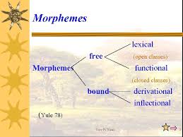 Lexical morpheme with properties and examples. Morphology I Basic Concepts And Terms Ii Derivational