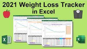 excel daily weight loss tracker