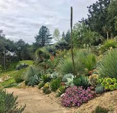 14 bay area gardens to visit in and