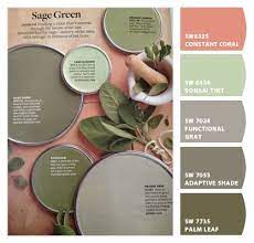 Sage Green Paint Color