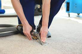 how much does carpet cleaning cost