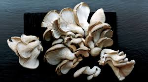 growing mushrooms at home is easier