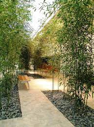 Indoor Bamboo Garden Award Winning