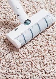 miami carpet cleaning service rug