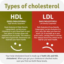 Good Cholesterol Vs Bad Cholesterol Faculty Of Medicine