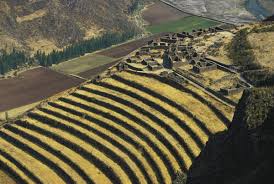 Science Source Inca Agriculture Terraces At Pisac Peru