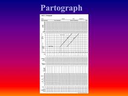 Partograph Partograph Partograph A Partograph Is A