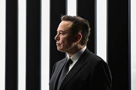 Elon Musk Buys Twitter. Should We Worry ...