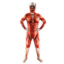 Amazon Com Attack On Titan Cosplay Costume Men Muscle
