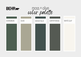 Moss Olive Paint Color Palette Behr