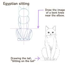 How to draw von scott robertson bei thalia entdecken How To Draw A Cat 2 Body And Pose Medibang Paint