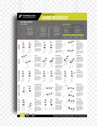 exercise bands general fitness training