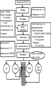 Process Flow Chart Of Combined Application Of Enzyme