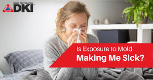 Is Exposure To Mold Making Me Sick