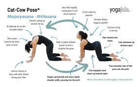 yogajala com wp content uploads 2022 10 yoga pose