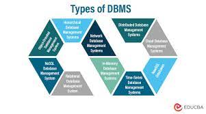 of dbms database management systems