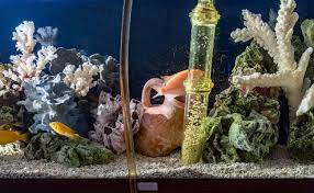 How To Clean A Fish Tank Diyer S Guide