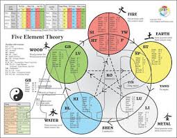 Five Elements Theory Of Acupuncture Points Chart 8 5 X 11 Ebay