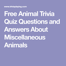There was something about the clampetts that millions of viewers just couldn't resist watching. Animal Trivia For Kids With Answers