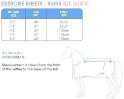 Horse Blanket Chart Zionak Org