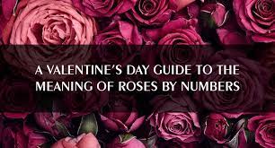 One of the most celebrated of all valentine's day flower color meanings, red is often remembered for its association with love, romance, and passion. Valentine S Day Guide To The Meaning Of Roses By Numbers Tall Ship Singapore