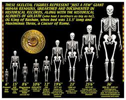 Nephilim Giant Skeletons Chart Herbert R Sim
