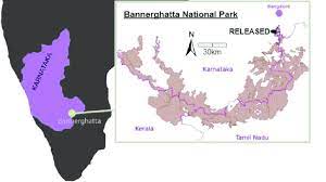 bannerghatta national park location
