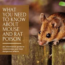 mouse and rat poison what they re not