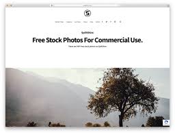 25 free stock photo s for every