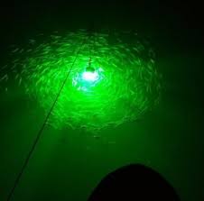 Review Of 6 Best Underwater Fishing Lights In 2020