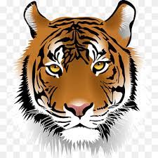 tiger face png images pngwing