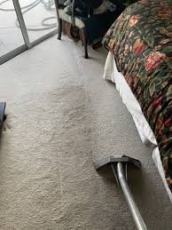 carpet cleaning bradenton sarasota