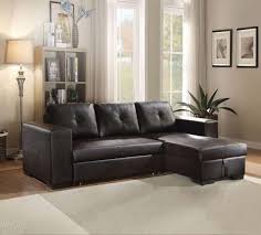 sectional sofa with pull out bed