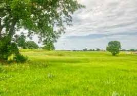 City calera state oklahoma (ok). Calera Ok Land For Sale 7 Listings Land And Farm
