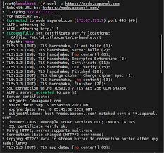 almalinux 8 4 installation issues