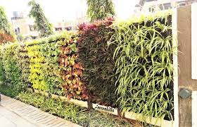 Pvc Vertical Garden For Wall