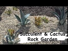 Succulent Garden