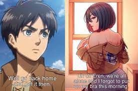 Mikasa ntr