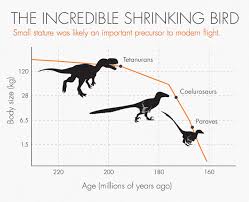 How Dinosaurs Shrank And Became Birds Scientific American