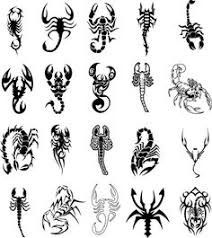 The predatory arachnid can cause pain, but it is also associated with protection or strength. 16 Feminine Scorpio Tattoo Drawings Ideas Scorpio Tattoo Scorpion Tattoo Tattoos