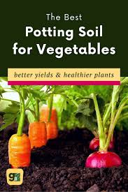 the best potting soil for vegetables a